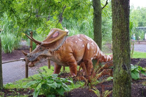 A lifelike dinosaur sculpture among trees and plants in a natural setting, resembling a Triceratops.