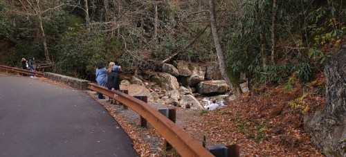 A group of people stands by a winding road, overlooking a rocky stream surrounded by trees in autumn.