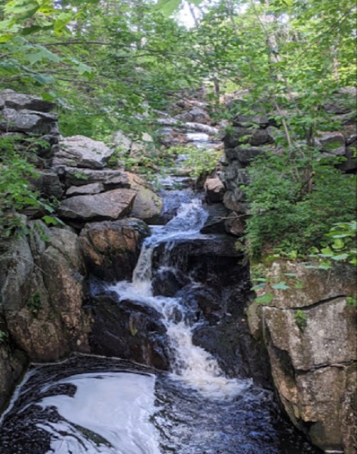 A serene waterfall cascades over rocky terrain, surrounded by lush green foliage and trees.