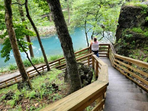 A person walks down wooden stairs surrounded by trees, leading to a serene blue river.