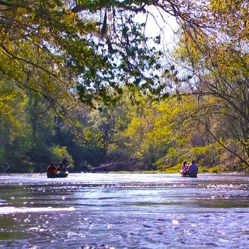 Two small boats on a serene river surrounded by lush greenery and sunlight filtering through the trees.