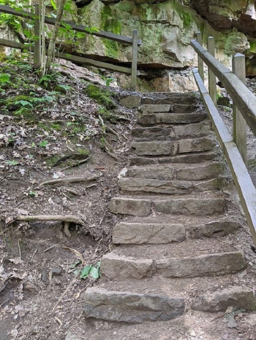 Stone steps lead up a wooded path, flanked by greenery and a wooden railing, under a rocky overhang.
