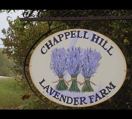 Sign for Chappell Hill Lavender Farm featuring three lavender bundles on a decorative background.