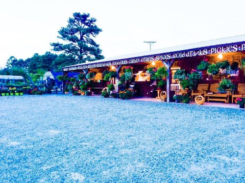 A rustic market with hanging plants and signs for various goods, set on a gravel lot surrounded by trees.