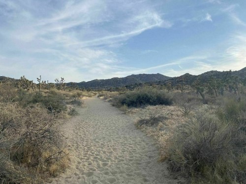 A sandy path winds through a desert landscape with sparse vegetation and distant mountains under a blue sky.