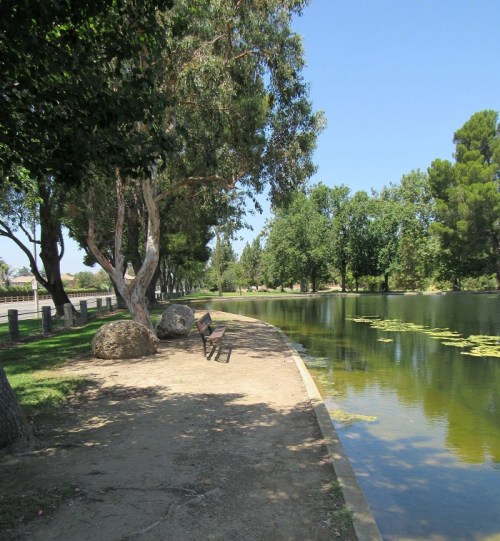 A serene park scene featuring a path by a calm pond, lined with trees and a bench beside large rocks.
