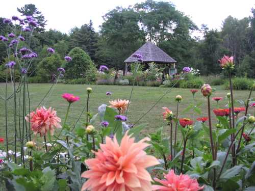 A garden filled with colorful flowers in the foreground, leading to a gazebo surrounded by greenery in the background.