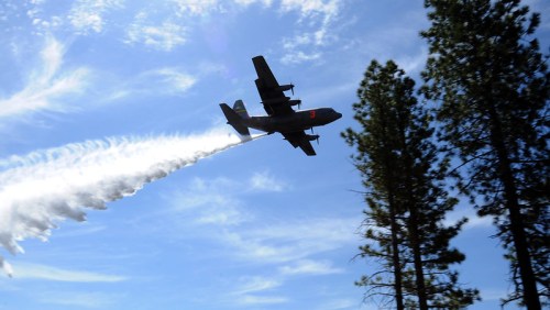 A plane releases a white trail while flying above tall trees against a blue sky.