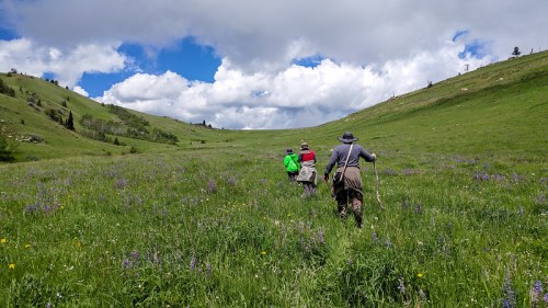 Three hikers walk through a vibrant green meadow filled with wildflowers under a partly cloudy sky.