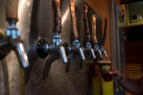 A hand holds a glass of beer in front of a row of beer taps with wooden handles.