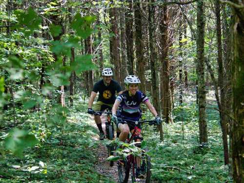 Two mountain bikers ride through a lush, green forest trail, surrounded by trees and foliage.