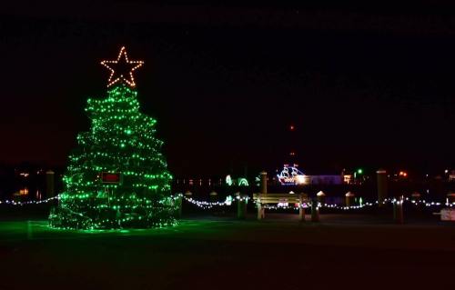 A brightly lit green Christmas tree with a star on top, surrounded by festive lights at night by the water.