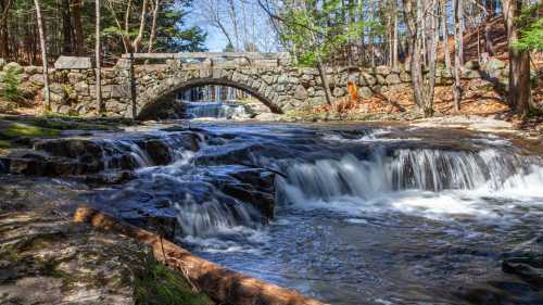 A stone arch bridge over a flowing river, surrounded by trees and rocky terrain in a serene natural setting.