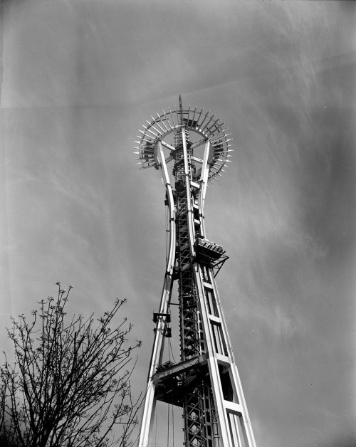 A tall observation tower with a circular top against a clear sky, surrounded by bare tree branches.