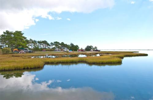 A serene campsite by a calm water body, surrounded by green trees and grassy marshland under a clear blue sky.