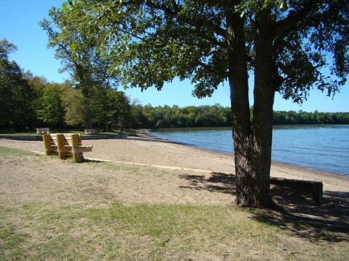 A sandy beach by a calm lake, with a tree and wooden chairs under a clear blue sky.