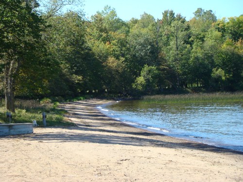 A serene beach scene with a sandy shore, gentle waves, and lush green trees lining the water's edge.