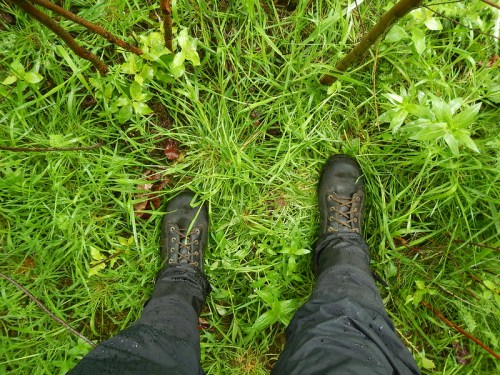 A pair of black boots standing on wet grass, surrounded by green foliage after rain.