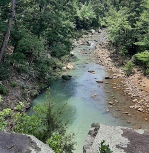 A serene river flows through a lush green forest, with rocky banks and clear water reflecting the surrounding trees.