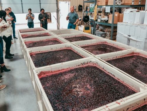 A group of people observes large containers filled with dark liquid, likely grape juice, in a warehouse setting.