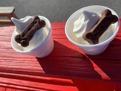 Two cups of soft serve ice cream topped with chocolate bone-shaped treats, placed on a red wooden surface.