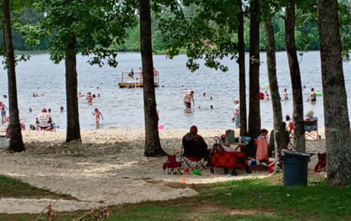 A sandy beach by a lake with people swimming, lounging, and enjoying a sunny day under trees.