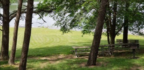 A serene park scene with trees, a grassy area, and a picnic table near a calm lake.