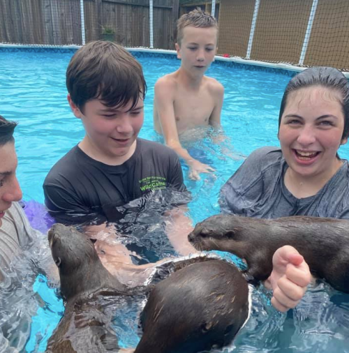 A group of children and a woman play in a pool with two otters, enjoying a fun and lively interaction.