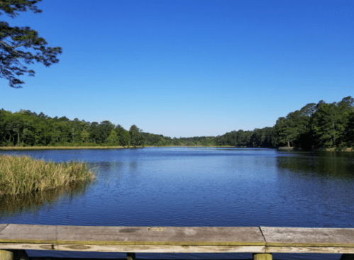 A serene lake surrounded by lush greenery under a clear blue sky, viewed from a wooden dock.