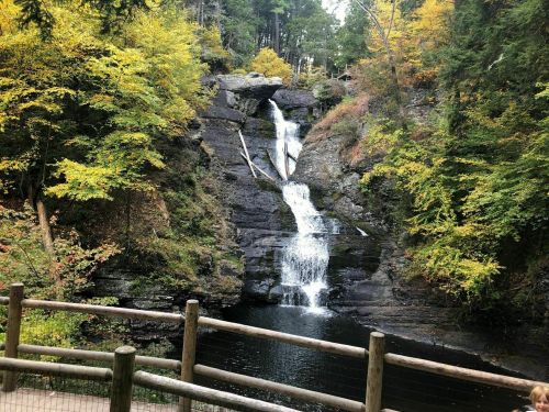 A serene waterfall cascades over rocky cliffs, surrounded by vibrant autumn foliage and a wooden railing in the foreground.