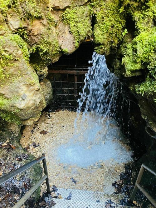 Water cascades from a rocky opening, flowing over a gravel bed, surrounded by moss-covered stones.