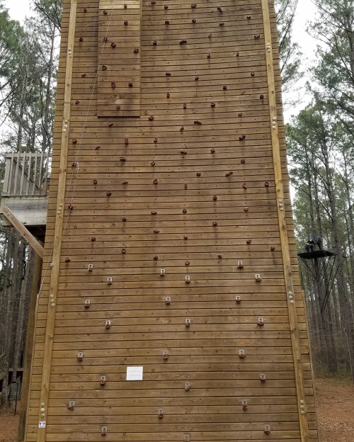 A tall wooden climbing wall surrounded by trees, featuring various handholds and a platform at the top.