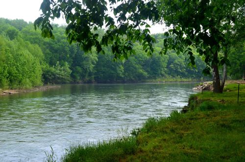 A serene river flows through lush green trees, with a grassy bank on one side under a cloudy sky.