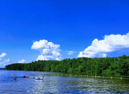 A serene lake scene with a clear blue sky, fluffy clouds, and a lush green forest lining the shore.