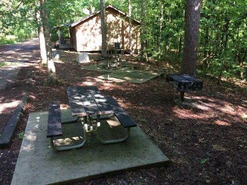 A picnic area with tables and a grill, surrounded by trees and a cabin in a wooded setting.