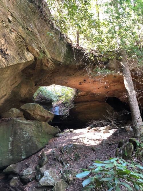 A natural rock arch surrounded by trees and boulders, with a small waterfall in the background.