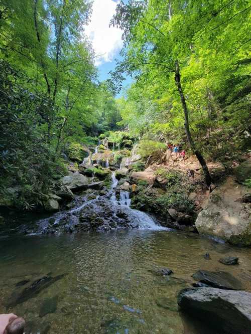 A serene waterfall cascades over rocks, surrounded by lush green trees and a clear pool of water below.