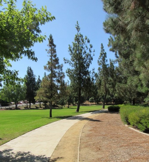 A sunny park pathway lined with trees, leading through green grass and shrubs under a clear blue sky.