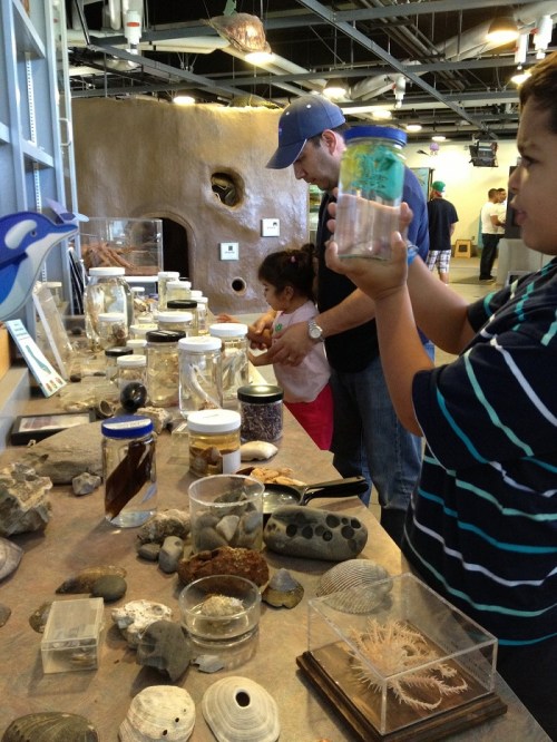 A child holds a jar while another child explores a table filled with marine specimens and rocks in a museum setting.