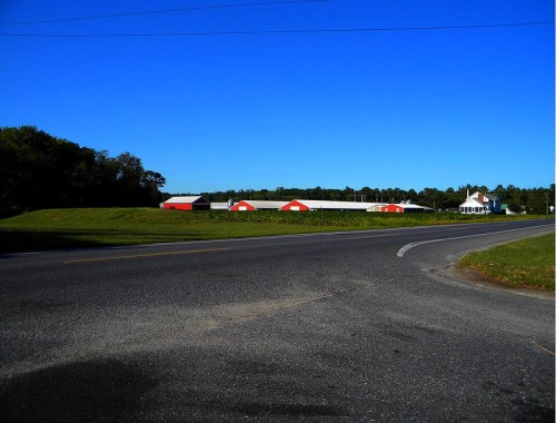 A rural scene featuring a curved road, green grass, and a row of red-roofed buildings under a clear blue sky.