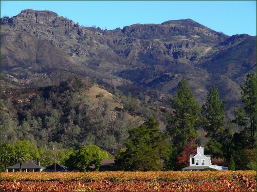 A scenic view of a vineyard with a white house, framed by mountains and trees under a clear blue sky.