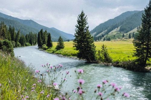 A serene river flows through a lush green valley, surrounded by mountains and wildflowers in the foreground.