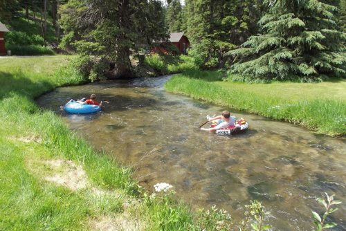 Two children float on inner tubes in a shallow stream surrounded by green grass and trees.