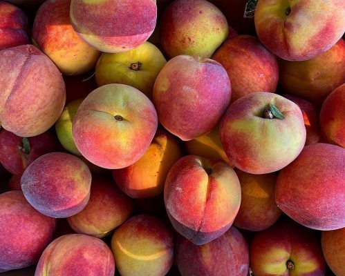 A close-up of a pile of ripe peaches in various shades of yellow and red, showcasing their fuzzy skin and natural colors.