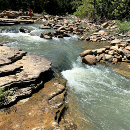 A serene river flows over rocky terrain, surrounded by lush greenery and sunlight filtering through the trees.