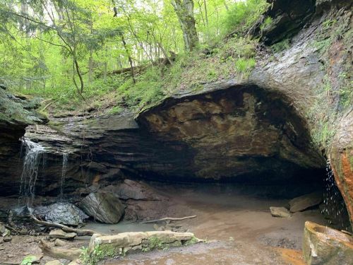 A serene cave entrance surrounded by lush greenery and a small waterfall cascading down the rocks.
