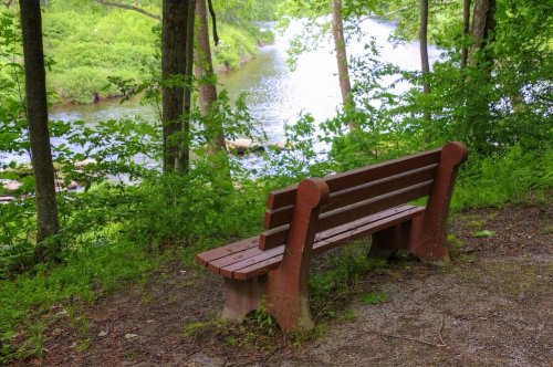 A wooden bench beside a serene river, surrounded by lush greenery and trees.