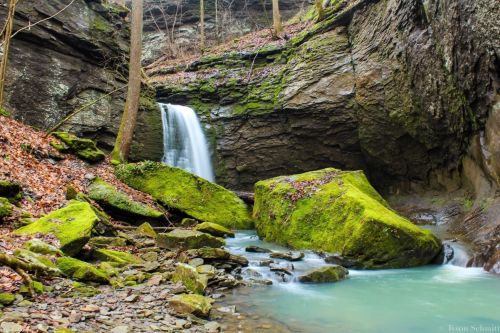 A serene waterfall cascades over moss-covered rocks in a lush, green forest setting.
