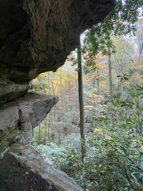 A rocky overhang frames a view of a forest with colorful autumn foliage and tall trees.
