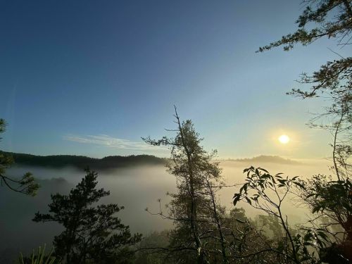 A serene landscape with fog rolling over hills, silhouetted trees, and a bright sun rising in a clear blue sky.